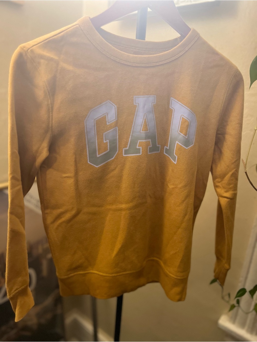 GAP Boy’s  Crewneck Sweater in Mustard
